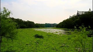 苗栗南庄二大夢幻湖泊「峨嵋湖+向天湖」人間仙境2015-4-28