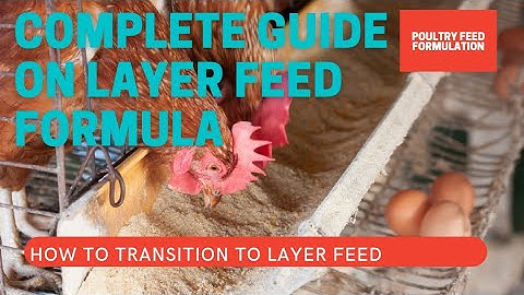 COMPLETE GUIDE ON LAYER FEED FORMULATION, HOW TO TRANSITION TO LAYER FEED? (HD QUALITY)