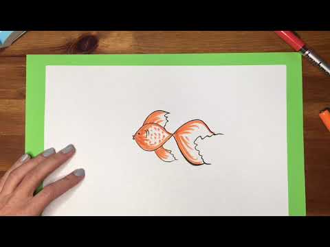 Wideo: Jak Narysować Złotą Rybkę