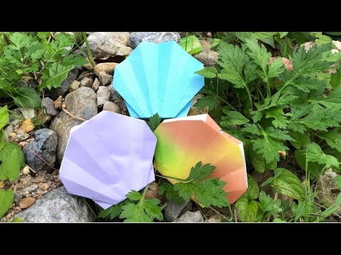 貝殻の簡単な折り方 簡単折り紙レッスン Youtube 貝殻の簡単な折り方 簡単折り紙レッスン Youtube