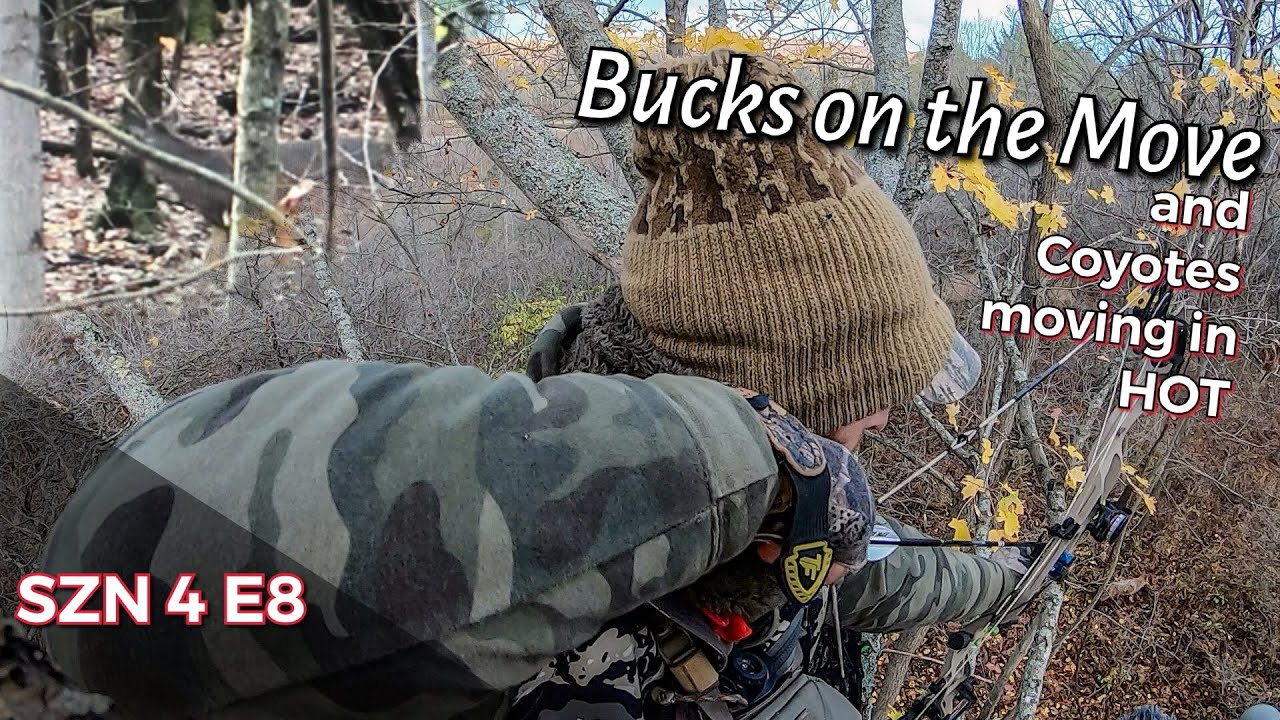 Bow Hunting NY public Land Halloween Surprises YouTube