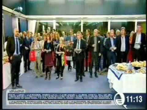 ნინო გოგუაძე - ევროსაბჭოში საქართველოს დელეგაციამ საპარლამენტო ასამბლეის წევრებს უმასპინძლა