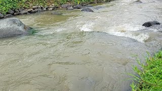 Relaxing Music with Water Sounds for Stress Relief, Relieve depression