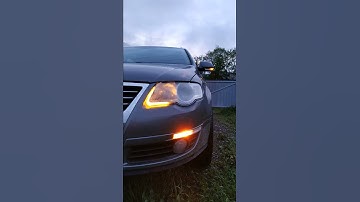 Passat b6 dynamic signal