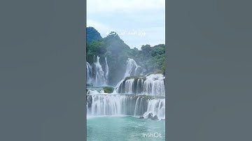 أفلا ينظرون إلى الإبل كيف خلقت #سورة الغاشية #القرآن الكريم