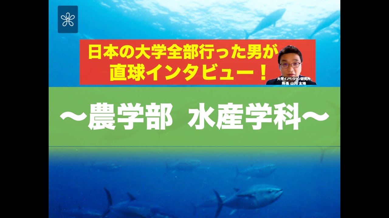 受験生必見 近大の全学科がまるわかり 農学部 水産学科編 Youtube 受験生必見 近大の全学科がまるわかり 農学部 水産学科編 Youtube