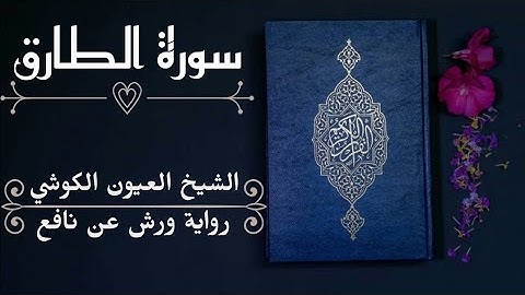 سورة الطارق-الشيخ العيون الكوشي