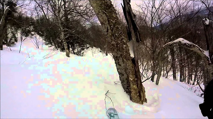 Powder All The Way