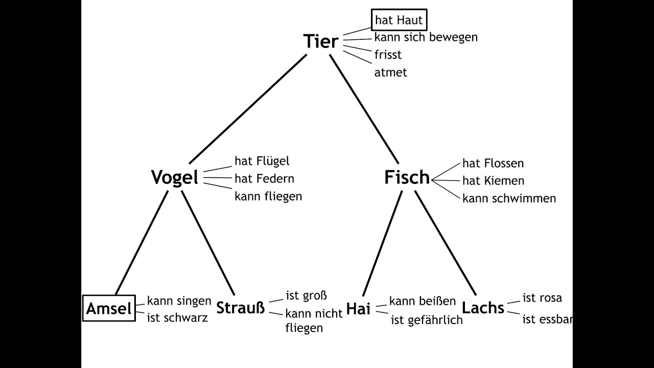 Langzeitgedächtnis: Semantische Netze - YouTube