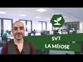 La Méiose SVT TS DigiSchool La Méiose SVT TS DigiSchool