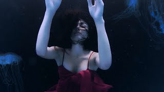 Gökdeniz Papagan-Nomad