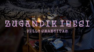 Video-Miniaturansicht von „DUPLA - Zugandik ihesi  (ft. Pello Skakeitan) |Visualizer|“