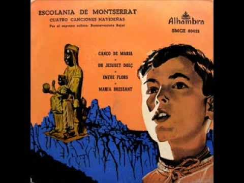 EL MONTSENY I LES SEVES QUATRE ESTACIONS - A. F. I CUSPINERA - LINGUA  CATALANO