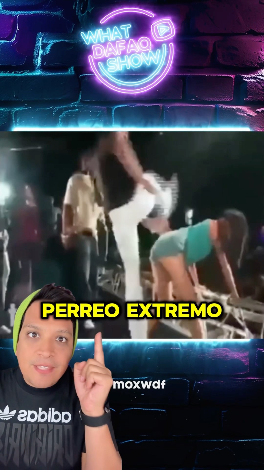Perro extremo 2025 !