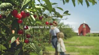 Door County Moment - Cherry Orchards