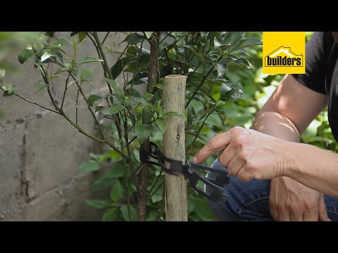 Video: Hoe Om Onverskillig Op Te Tree