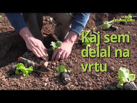 Video: Septembrska vrtna opravila – vrtnarjenje na zgornjem srednjem zahodu jeseni