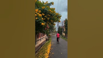 O Re Piya Song Status - latest update|👀🥀| #fullscreenstatus#tiktok #viralvideo#youtubeshorts #shorts