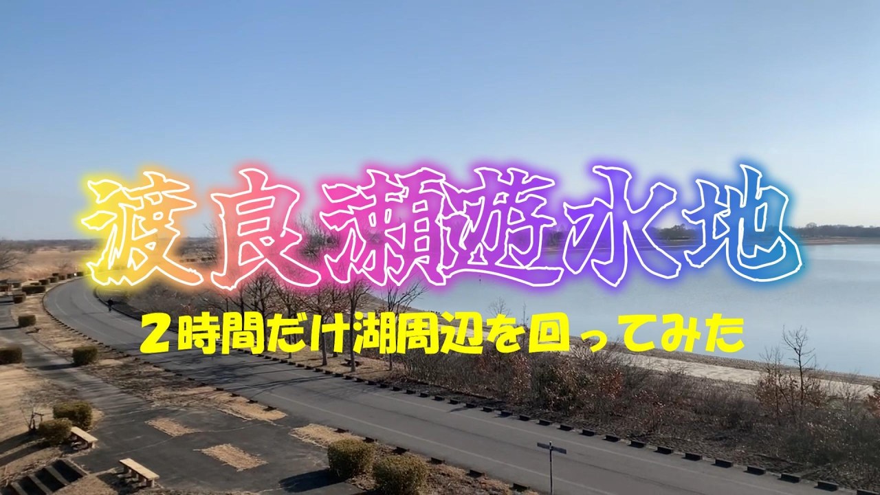 【朝回る】渡良瀬遊水地の湖周辺を２時間だけ回ってみた