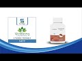 Ganoderma capsule sunedge wellbeing training program swtp present ganoderma capsule  importance