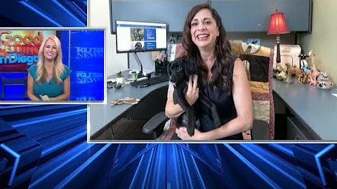 Summertime safety tips for your pets from Helen Wo...