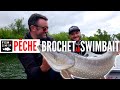 Pche aux swimbait avec tom couchoud