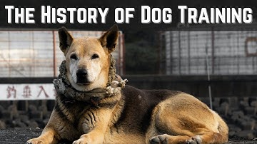 The History of Dog Training: From Ancient Greece to Modern Techniques