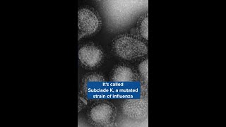 Flu mutation circulates; Doctors recommend vaccines