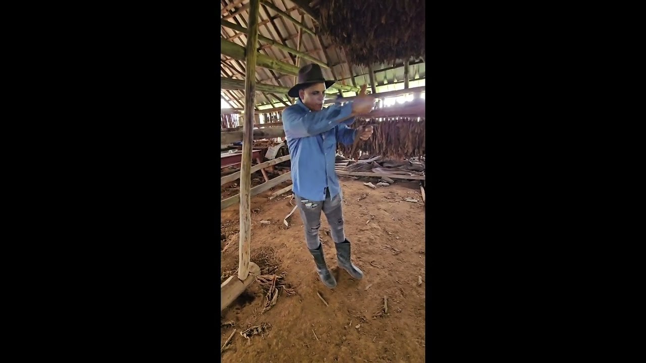 A day on a Cuban Cigar Farm