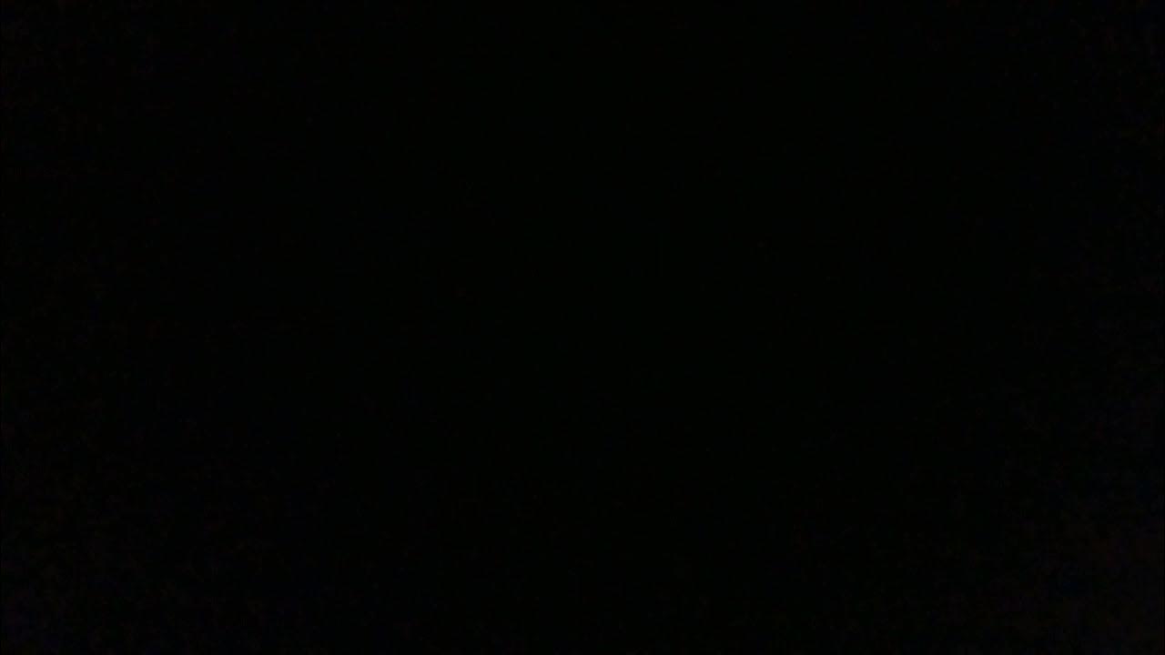 Why Does A Chicken Coop Only Have Two Doors? YouTube