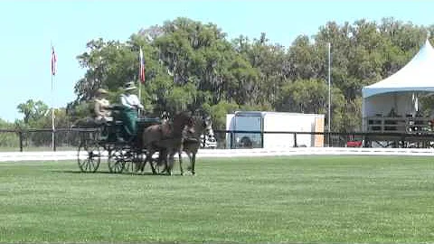 3-20-2014 Elizabeth Keathley Dressage Live Oak