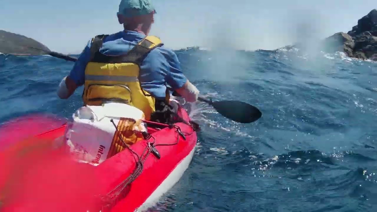 BIC SCAPA FIT CAP CERBERE