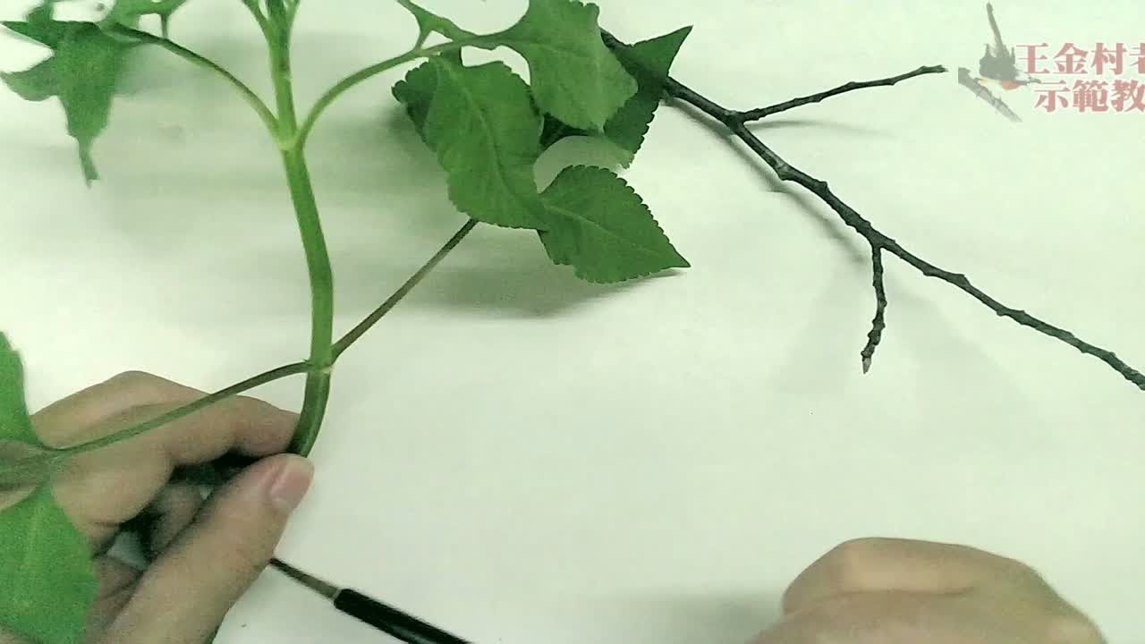 细说国画树枝画法-详细结构笔法分析,绝对干货 - YouTube