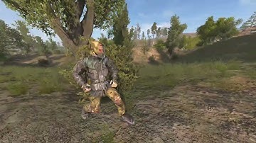 S.T.A.L.K.E.R. Desolation: AI rework WIP 1