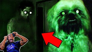 SCARY Ghost Videos Compilation #5