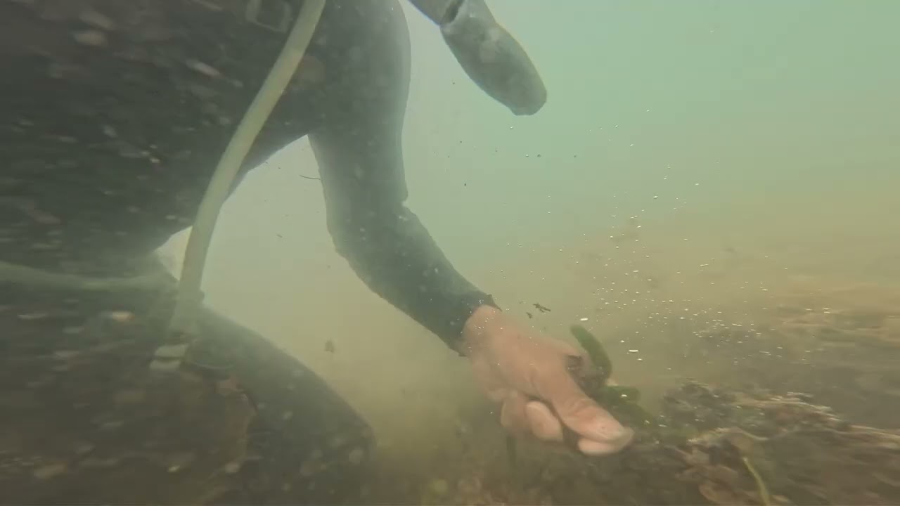 vì cuộc sống cần phải chăm chỉ từng ngày