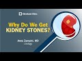 Why Do We Get Kidney Stones? | Anna Zampini, MD