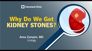 Why Do We Get Kidney Stones? | Anna Zampini, MD