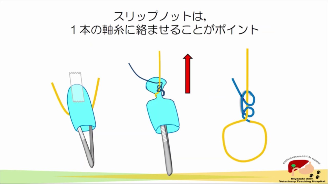イラストと動画で学ぶ軟部外科シリーズ　手結び編１