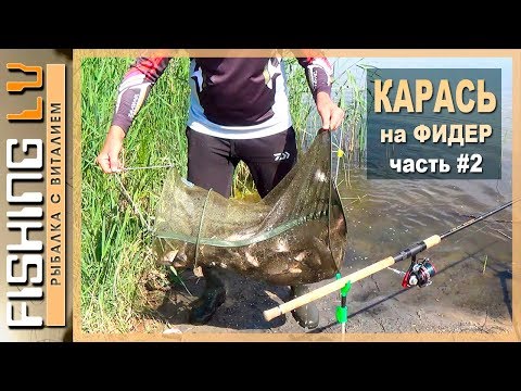 Video: Kā Noķert Karūsu Vasarā