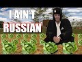 Niko Becomes A Cabbage Farmer
