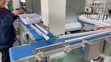 YL-100 Automatic Cartoning Machine for bottle and tube which with prefold leaflet