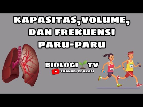 volume paru paru, frekuensi paru paru, kapasitas paru paru | Bab sistem pernafasan biologi kelas 11