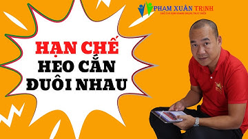 Hạn chế heo cắn đuôi nhau cùng bác sĩ thú y Phạm Xuân Trịnh