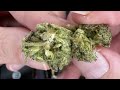 Canna Cured Giraffe Puzzy