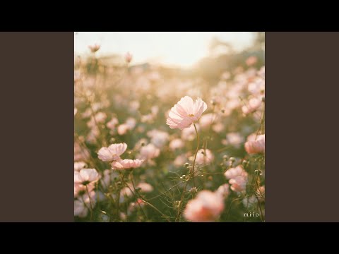 コスモス - YouTube