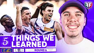 5 THINGS WE LEARNED from West Coast v Fremantle | AFL Round 6 2026