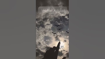 (لَا تَحْزَنْ إِنَّ اللَّهَ مَعَنَا) سورة التوبة آية (40).