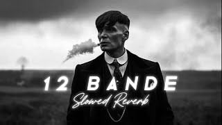 12 Bande (slowed reverb) | Varinder Brar | PERFECTLY SLOWED