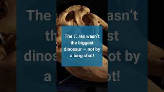 Fast Facts: TREX